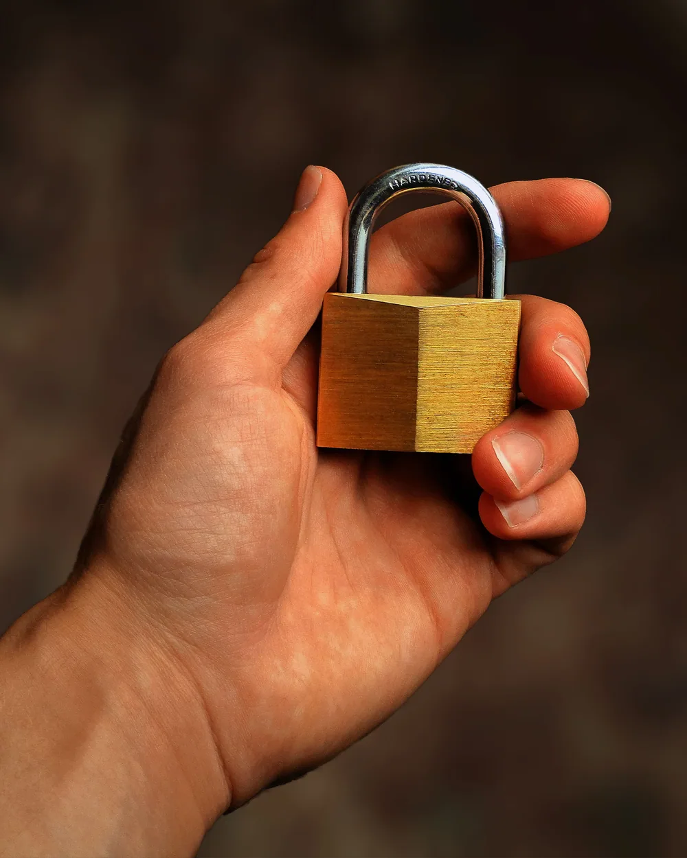 Precision-engineered locks and security hardware from Aligarh