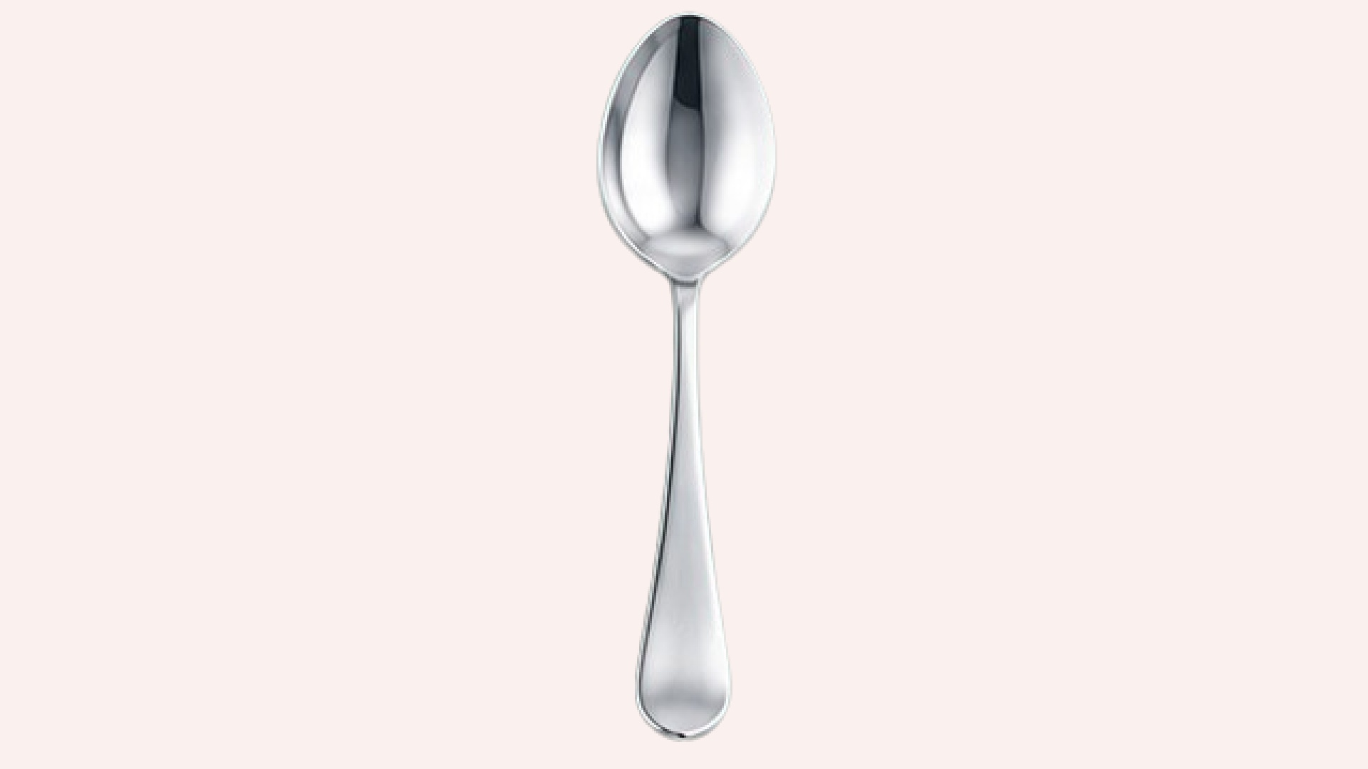 TS-202 Stainless Steel Table Spoon